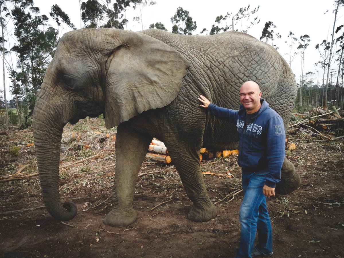 endless_roaming's tweet photo. Places I Love I continued my 2 week journey along #SouthAfrica southern region sipping wine, patting an elephant, coastal walks and rocky waterfalls #travel #endlessroaming #photography #photo https://t.co/U3kRb3KKhH
