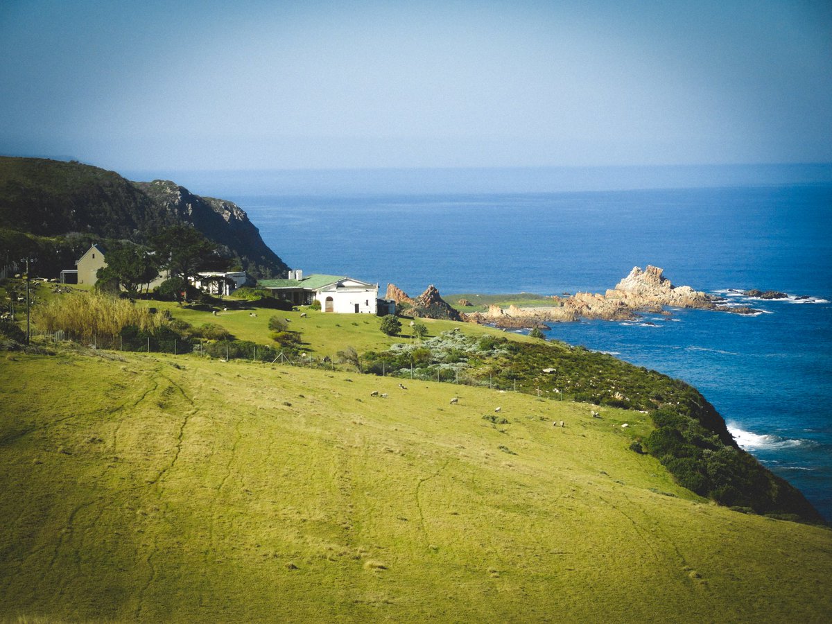 endless_roaming's tweet photo. Places I Love I continued my 2 week journey along #SouthAfrica southern region sipping wine, patting an elephant, coastal walks and rocky waterfalls #travel #endlessroaming #photography #photo https://t.co/U3kRb3KKhH