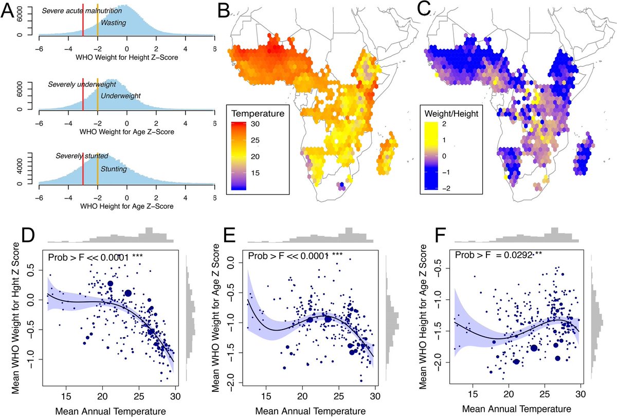  @rebaker64 and I join height and weight data from 190K children in sub-Saharan Africa with historical climate data to estimate high temperatures' net effect on nutrition. The average relationship turns out to be strong enough to see in the raw cross section:5/n