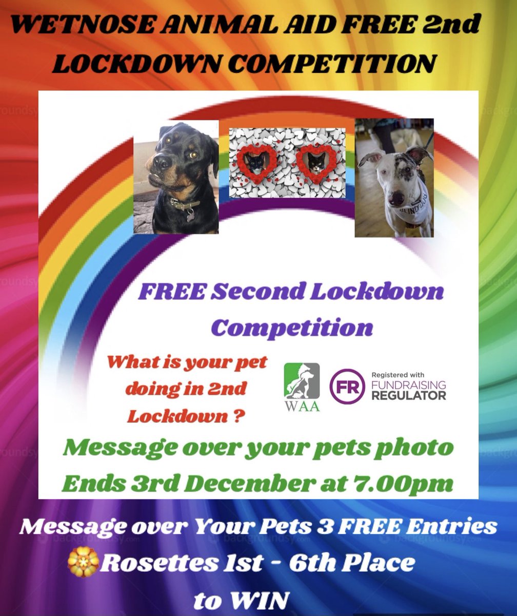 WetnoseShow's tweet photo. Even more #amazingdog entries to our Wetnose #2ndLockdown #competition find us on #fb here: https://t.co/NfueMCGimE or DM your pets 📸 https://t.co/kjNC5N7YDj