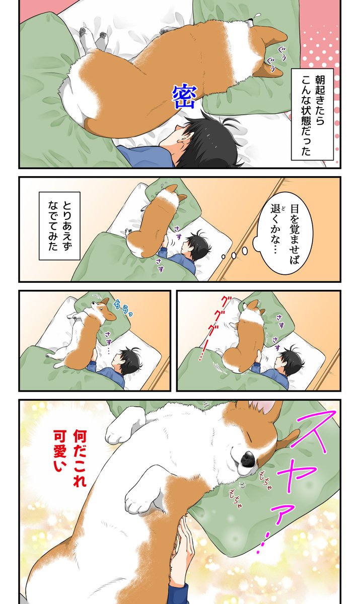 安心した犬 