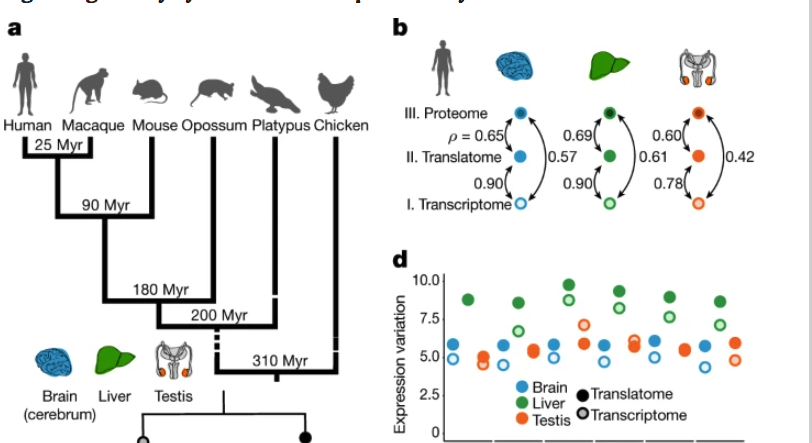 Alice Lebreton Birdlab Ens Twitter