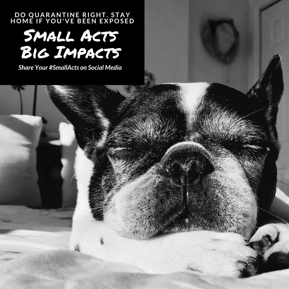EPCPublicHealth's tweet photo. Stay home when you are sick or have been exposed to COVID-19. Get tested and tell coworkers if you test positive. 

Small acts can make a big difference in slowing the spread of the coronavirus.  #SmallActs https://t.co/eKxjSM2cGW