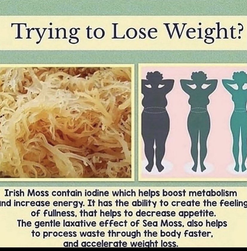 MorganGrooms's tweet image. TLC has sea moss now and it is amazing 🙌🏽🙌🏽 #LinkInBio #askmeaboutit
