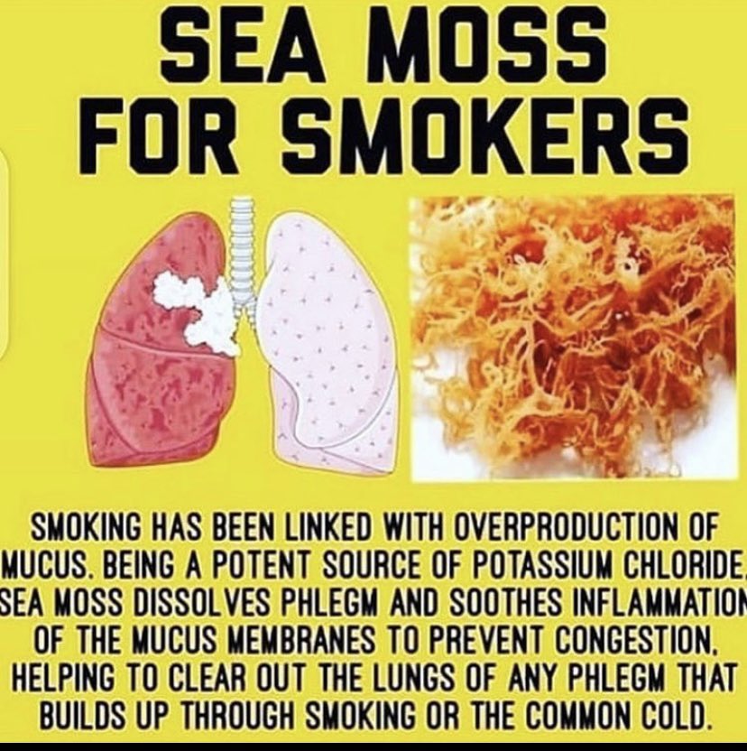 MorganGrooms's tweet image. TLC has sea moss now and it is amazing 🙌🏽🙌🏽 #LinkInBio #askmeaboutit
