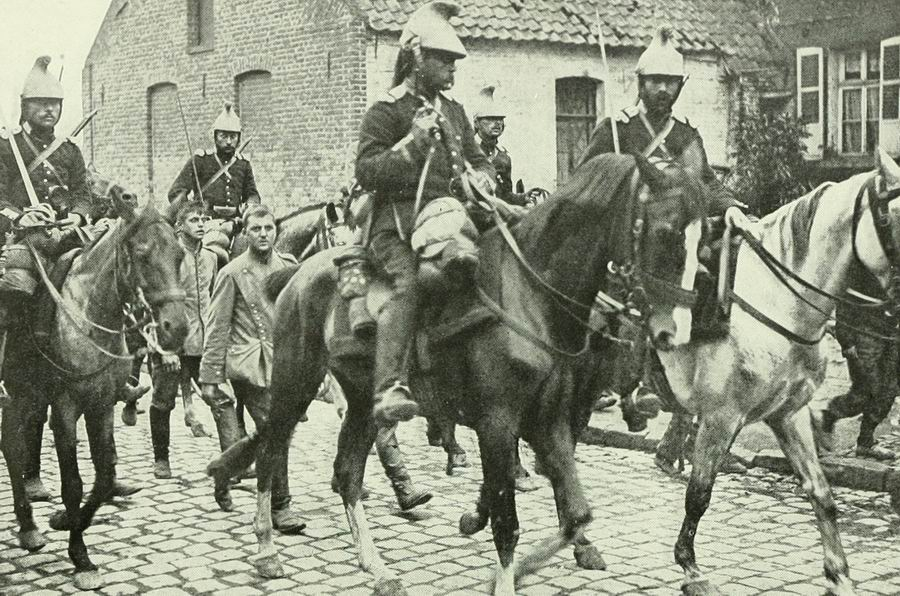 LigueDesAnimaux's tweet photo. 🕊️Les oubliés de la Première Guerre mondiale (équidés, chiens, pigeons, ânes et mules). 

Des millions d'animaux morts pour la France. 

#11november https://t.co/t8PzmkCoJ0