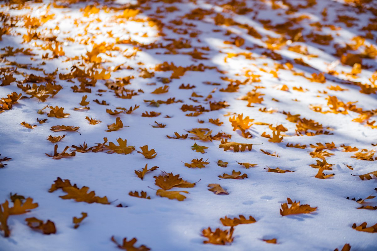 What do you call fall and winter combined? 🤷Whatever it is, we're loving it! 📷:Brady Enger, Bending Energy Photography