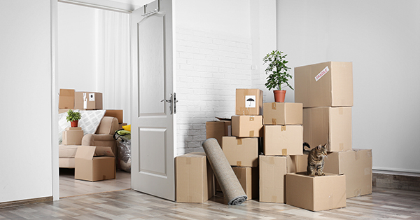 StorageDirect's tweet image. Moving Into an Apartment for the First Time: Checklist and Tips 

ed.gr/czvyz