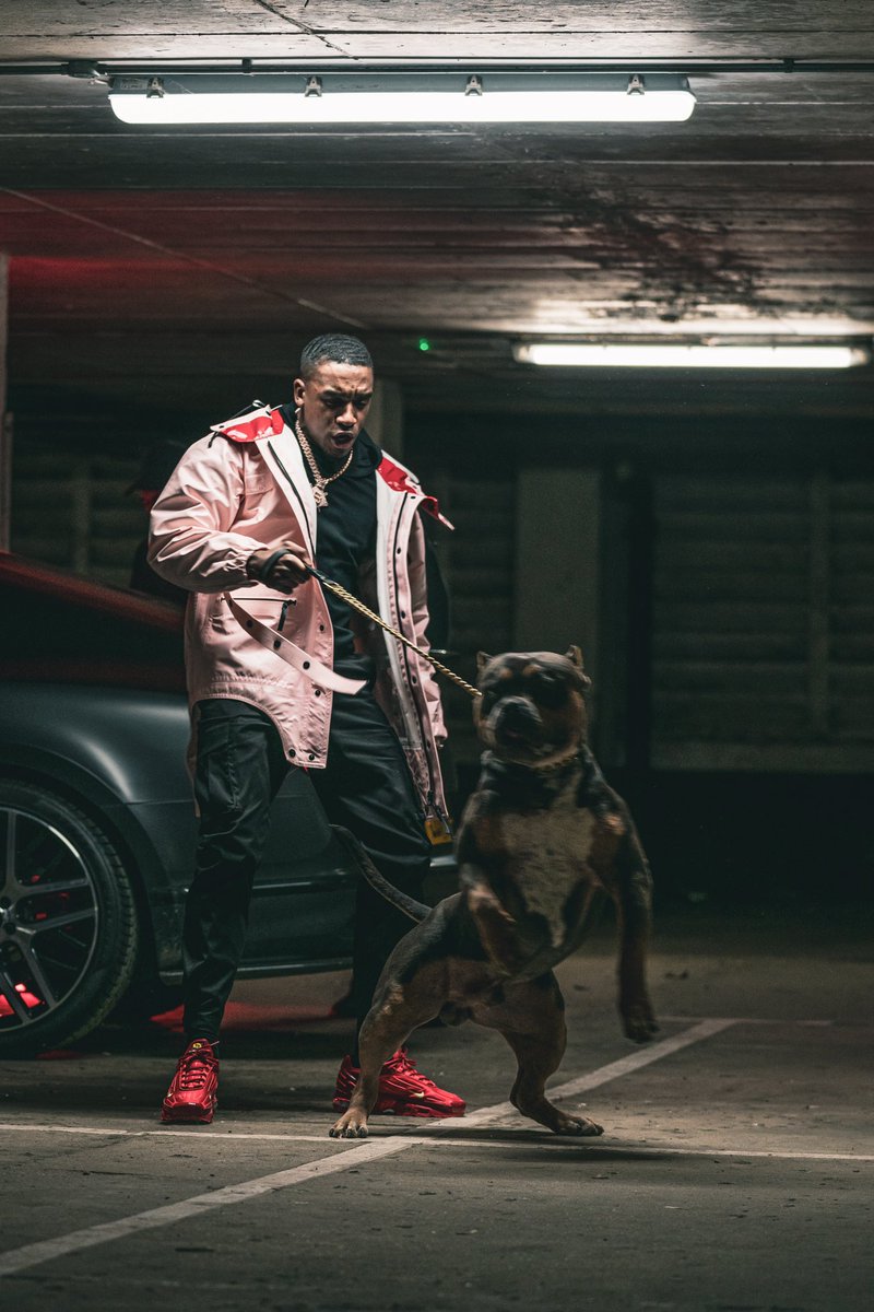 TheBugzyMalone's tweet photo. Ngl the dog’s strong af. 🧸🥵 https://t.co/mMhpfBe10u