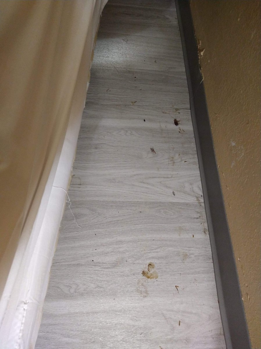 Mardi_Graszz's tweet photo. @daysinn  I WAS TOLD MY 8TH NIGHT WAS FREE WITH A REWARDS MEMBERSHIP INSTEAD I GOT A DIRTY ROOM WITH ROACHES AND DISGUSTINGLY disrespectful HOTEL STAFF and customers service management SHOULD HAVE WENT TO THE @HiltonHotels

@Mardi_Graszz @daysinn @DaysInnMCO @LQ @WyndhamHotels https://t.co/ZEtZEL4Fnm