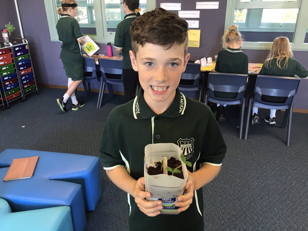 Our Food Forest plants are growing! Soon we’ll have cucumbers, strawberries, watermelons, sunflowers and more!