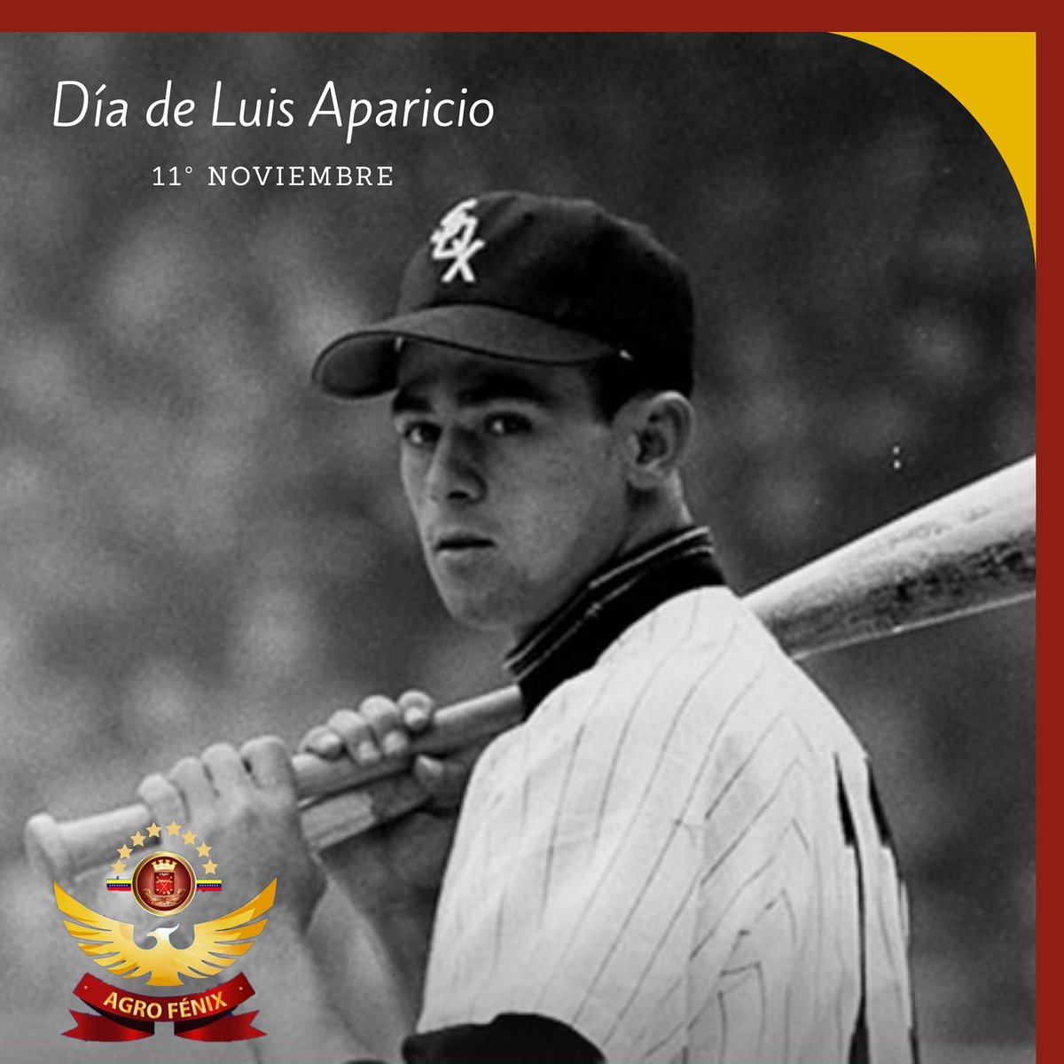 AgrofenixG's tweet photo. Cada 11 de noviembre, desde 2011, se celebra el Día de Luis Aparicio en referencia al número 11 de su uniforme y para homenajear al hasta ahora único venezolano miembro del Salón de la Fama de las Grandes Ligas.

#11Nov
#luisaparicio 
#Zulia
#SalondelaFama
#AgroFénixGnb 
#GNB https://t.co/xwMitIBBsU