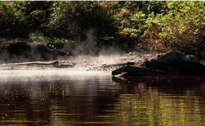 Despite the Castro regime's poor record on environmental stewardship and overall terrible record on human rights the United States in 2016 stripped Bacardi of its right to the Havana Club brand & turned it over to a company of the Castro dictatorship.  https://www.cubacenter.org/archives/2020/11/11/cubabrief-bacardi-environmental-stewardship-recognized-while-castro-regimes-rum-maker-harms-cubas-yet-a-travesty-continues 10/