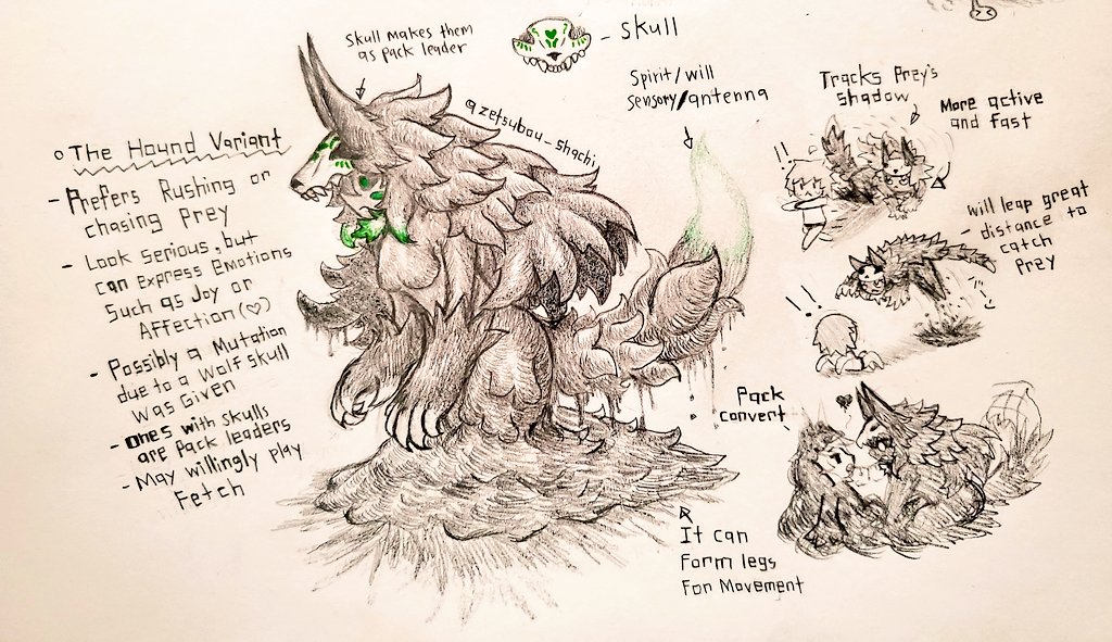 MuchuShachi's tweet photo. "The Hound Variant" (Green)
A much more different variant that prefers chasing or rushing prey.
They look serious, however they are capable of expressing a wide arange of emotions.
Those with skulls on their head are considered as pack leaders.
(These traits may be a mutation) https://t.co/x36dcpOOQs