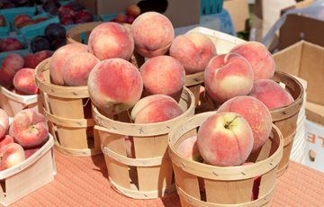 Did you know the first basketball hoops were peach 🍑 baskets with the bottom intact? That was in 1891, and officials had to get the ball out after each basket. The first string nets were used in the early 1900s

#basketball #history #bball #basketmaster