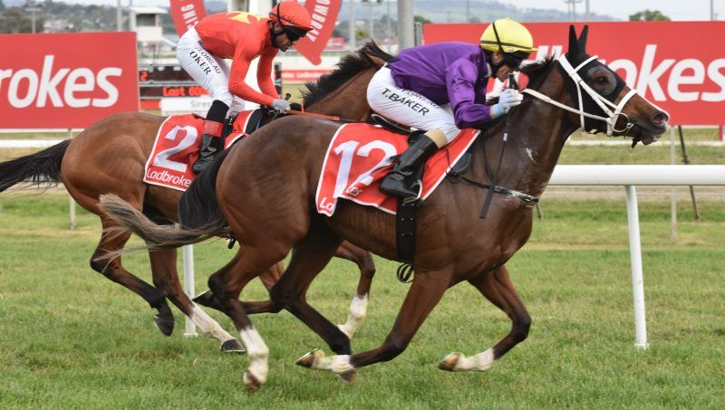 It was a special night in Launceston on Wednesday for couple <a href="/troycbaker/">Troy Baker</a> and <a href="/SiggyCarr/">Siggy Carr</a> each delivering trebles, Siggy's her first as a trainer - bit.ly/38CtvTs