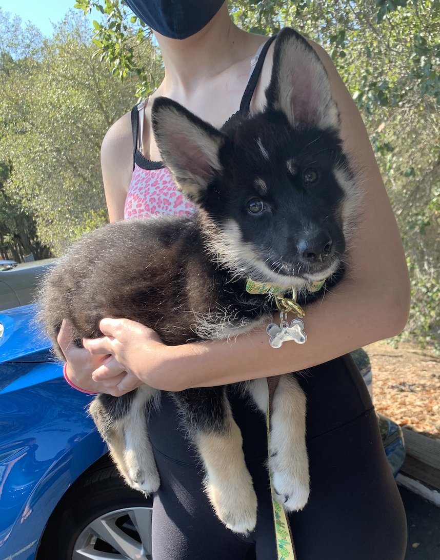 hansel and gretel at 4 weeks and 12 weeks!