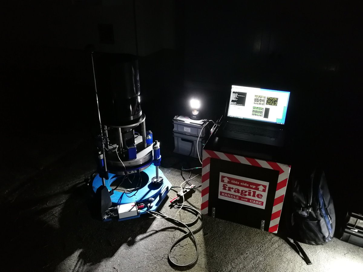 Daniel Willi tweet media