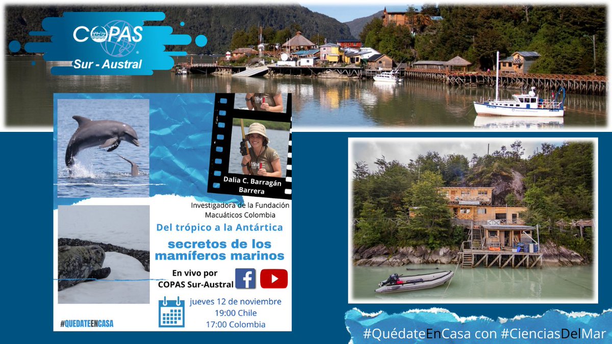 COPAS Coastal tweet media