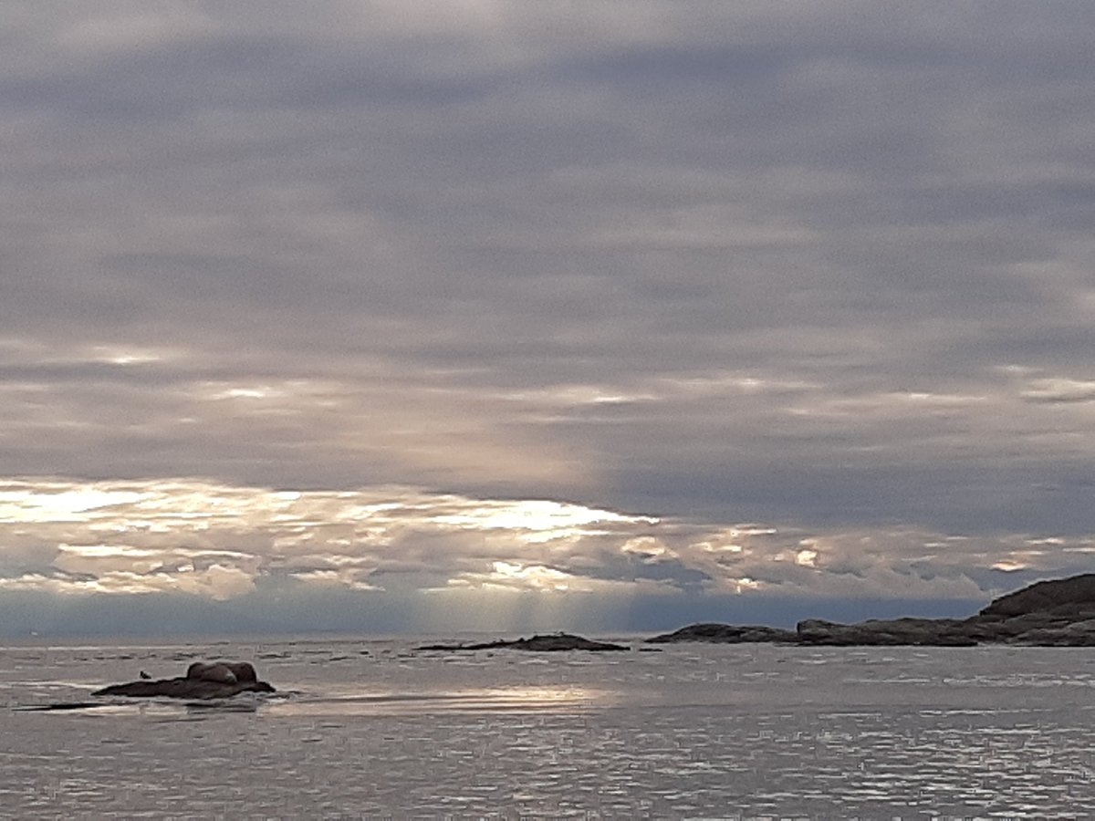 rumon's tweet photo. Absolutely stunning afternoon on the water, connected with family, exploring the natural wonders, nooks and crannies of Discovery and Chatham Islands.(Spot the sea lions in the 2nd pic. )
#thisismywild #explorevanisle #explorebc #yourbcparks https://t.co/O7SDXTp7gV