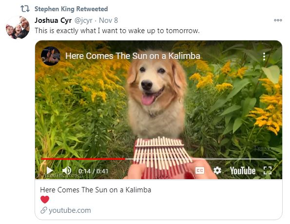 48) Stephen King loved this video so much he retweeted it. It's reference to Biden being named president-elect by corrupt MSM. In it, lovable pooch walks toward camera as  #HereComestheSun is played. Who is "bringer of light"? And sun is a star, remember.  #dogstar