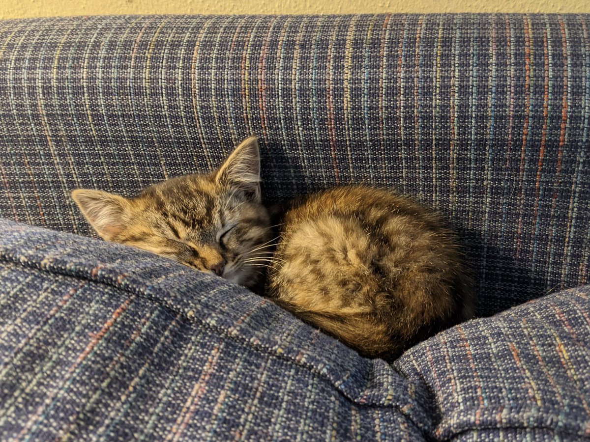 Eli Duke tweet media