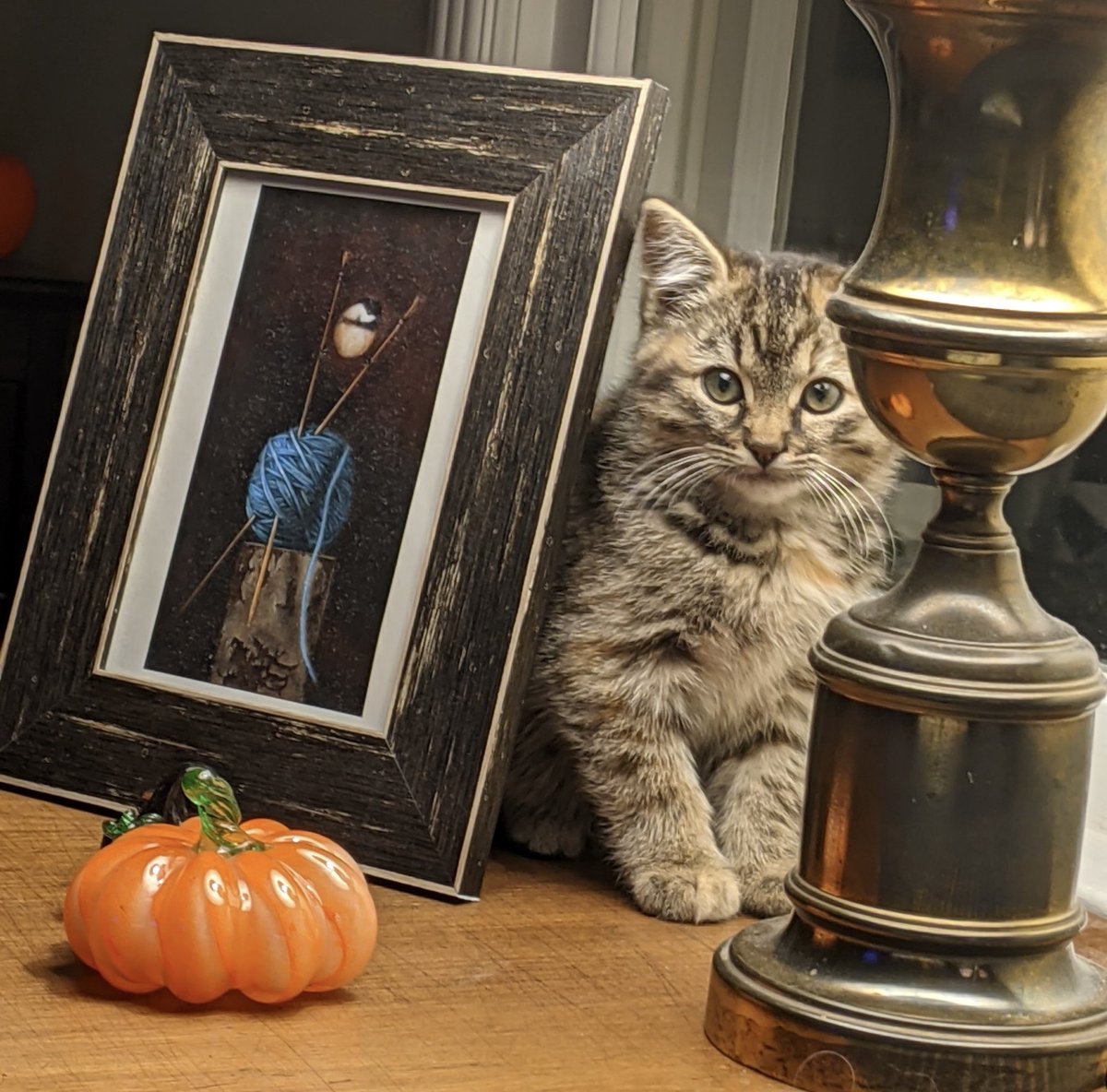 Eli Duke tweet media