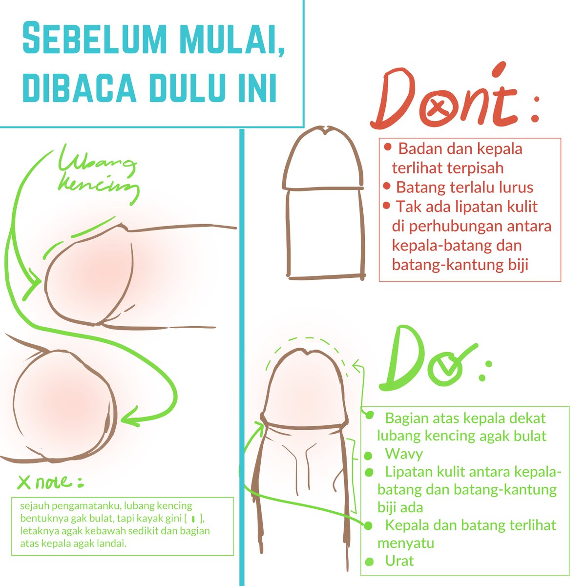 Sum basic yang kurangkum dari pengamatan yang asli+referensi dari teori.Liat uratnya sama penampang batangnya referensi gambar: 1) https://www.drcharlesosterberg.com/urethral-stricture2) https://www.sciencephoto.com/media/144654/view/male-reproductive-system