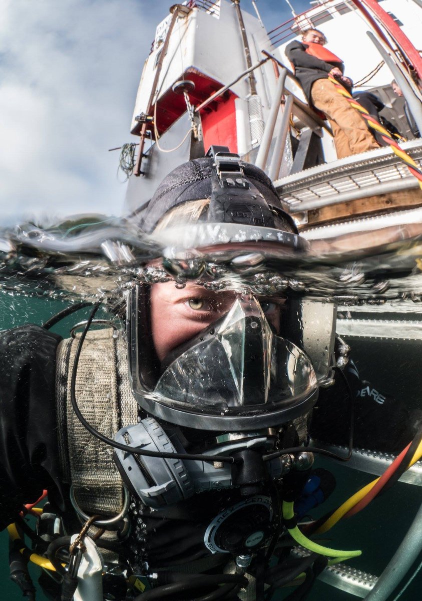 DiveSafe's tweet photo. Into the drink 🌊
#underwaterjobs #diveschool #livetodive #divingislife #divingcourse #diverslife https://t.co/iY7BVyfSeW