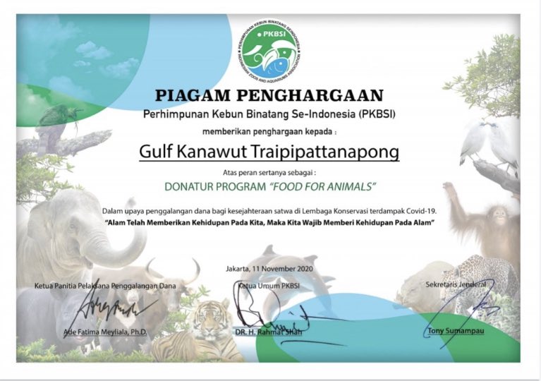 60) @gulfkanawut #ConGULFtulations #Giftofgulf  #GulfKanawut  #ลูกบอลของคุณบิ๊กกลัฟ  #หวานใจมิวกลัฟ