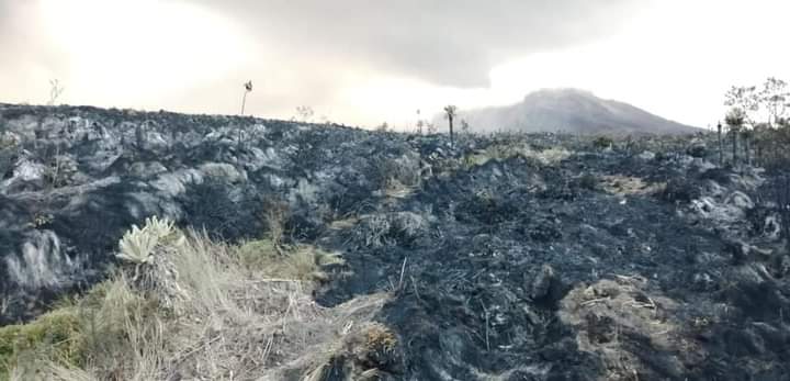 Pais_Hermoso's tweet photo. #SOSNARIÑO El Páramo de Cumbal  Nariño está en llamas, más de mil hectáreas están siendo consumidas y las autoridades no se pronuncian frente a este horrible suceso, no es la primera vez que pasa y nuestros páramos piden ayuda a gritos. Rt https://t.co/lTqjqmOfTq