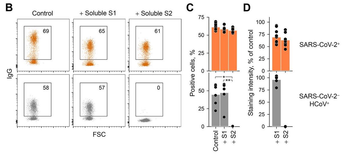 mmw_lmw's tweet photo. Preexisting and de novo #Humoral_Immunity to #SARSCoV2 in humans | George Kassiotis @TheCrick @ScienceMagazine https://t.co/Bw9steN7Gb https://t.co/Qf4w2Fw5cZ