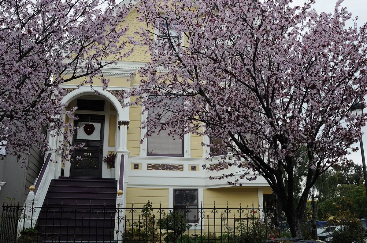 uplandturkiye's tweet photo. 1243 19th St, San Francisco, CA 94107
corner of #TexasStreet #PotreroHill #PacificHeights
ZESTIMATE
$3,051,138
Zestimate Range
$2.69M - $3.48M
Rent Zestimate®: $8,001/mo
Year built: 1895
Lot:
2,625 sqft
4 bd 3,5 ba 3.200 sqft
https://t.co/ks09cqcTdd https://t.co/R6WL3XDdSP