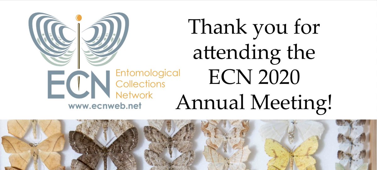 EntCollNet's tweet photo. And with that, the #ECN2020 annual meeting has come to an end!
We hope you have learned a lot and have been inspired by the talks and our wonderful community. May the conversations, ideas, & connections continue.
We look forward to see you again at next year’s meeting, in 2021! https://t.co/gdeajLWjq5
