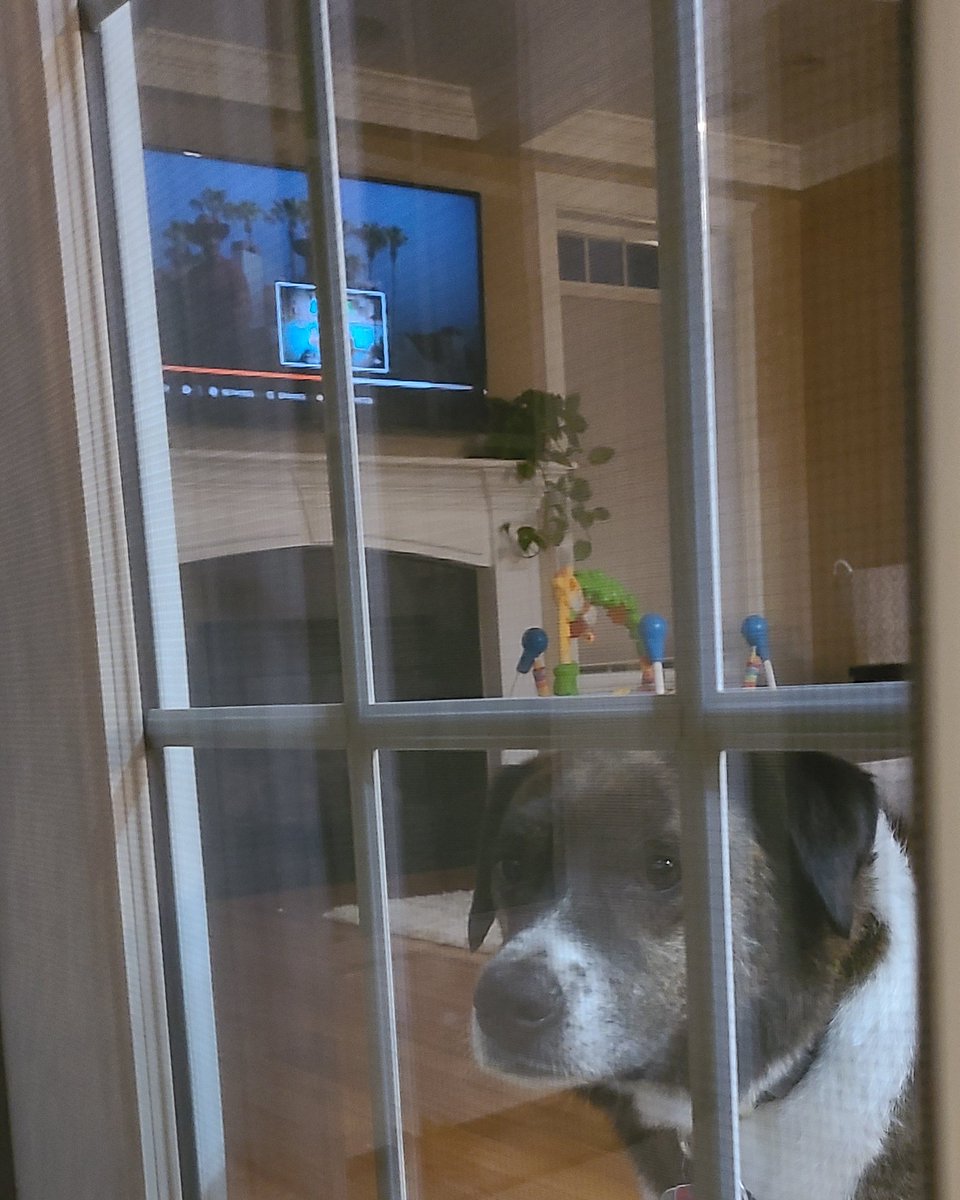 InvestorsLive's tweet image. Nothing beats watching the Bachelorette 🌹 with my wife and dog 🐶 during post wedding isolation #QuaratineLife until test results arrive  tomorrow. #struggleisreal

instagram.com/p/CHeAARbDaFz/…