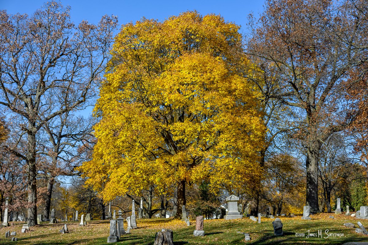 jsiatczy's tweet photo. Fall colors are hanging on... Oak Hill Cemetery, Pontiac, Michigan
@PureMichigan @NikonUSA @MichiganHist @OakGov @OaklandHistory @cityofpontiac #cemetery #headstone #nikonnofilter #Fall2020 #FallFilter #fall #autumn #nikonfallmi #nikonz7 #nikonnofilter https://t.co/6QujXZNLiQ