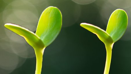 GlobalCCS's tweet photo. @GlobalCCS_Brad will today join #energy and #climate leaders from around the world to share their company vision for a low #carbon future at the @GoldmanSachs Carbonomics Conference

Register👉https://t.co/4QsbCujCAj

#CCS #GSsustainability https://t.co/t79eAZNz2r