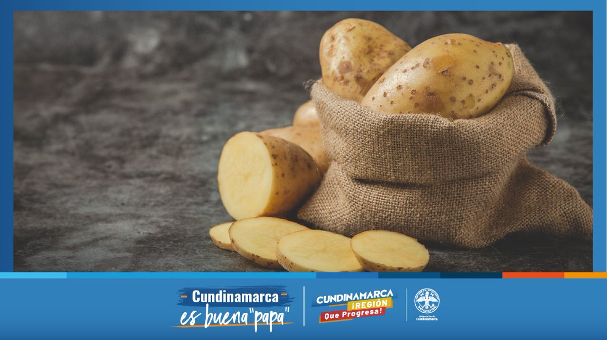 CundiDigital's tweet photo. Este fin de semana se #BuenaPapa con #Cundinamarca y compra 🥔🥔 en los peajes:
-Siberia calle 80
-Chusacá auto Sur
-Casablanca - Vía Ubaté
-Albarracín- Villapinzón 
-Centro Agro Industrial de VillaPinzón
- Los Andes
- El Roble vía Gachancipá
-Boquerón, Chipaque
-Calle 13 https://t.co/5GAMgVYp3e