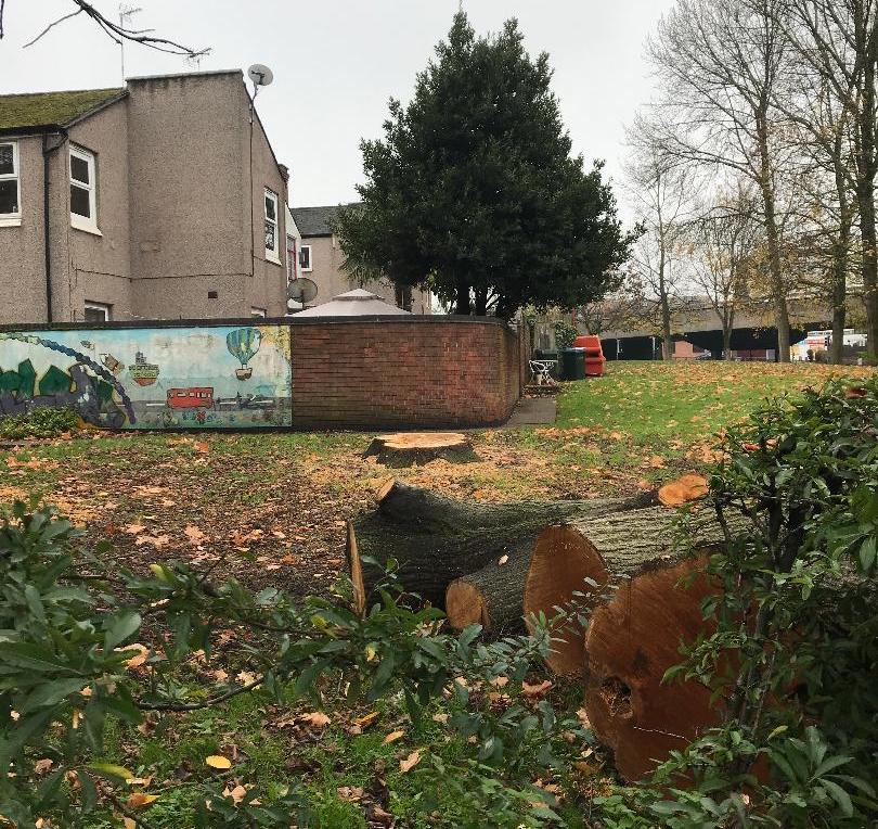 thecatbath's tweet photo. A mature tree felled on Starley Road next to the ring road. Why @coventrycc? One of the most polluted places in the Midlands. Coventry is one of 22 UK towns and cities where NO2 levels are forecast to exceed legal limits by 2021. https://t.co/05KCROBUYO https://t.co/cknlY3R2mk