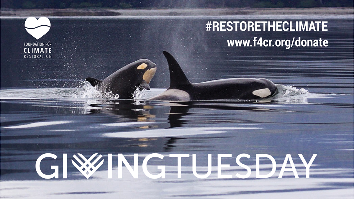 F4CR2050's tweet photo. Just in! A generous donor has pledged to donate $10 to @F4CR2050 each time the hashtags #donatetorestore and #restoretheclimate are used—up to $5,000. Help us get there—RT and include the hashtags to trigger the donation! https://t.co/ca82yiV1Zk