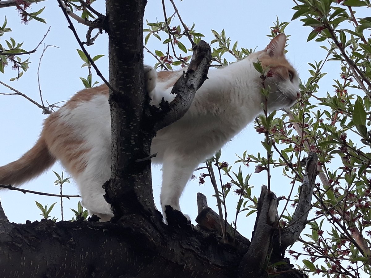 Hawt_dog (@hawtdog17) on Twitter photo 