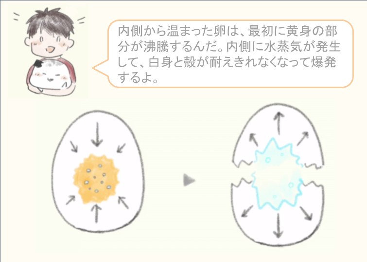 電子レンジ どうして卵はレンジで爆発するの 卵が爆発する仕組み だいふくアカデミーの漫画