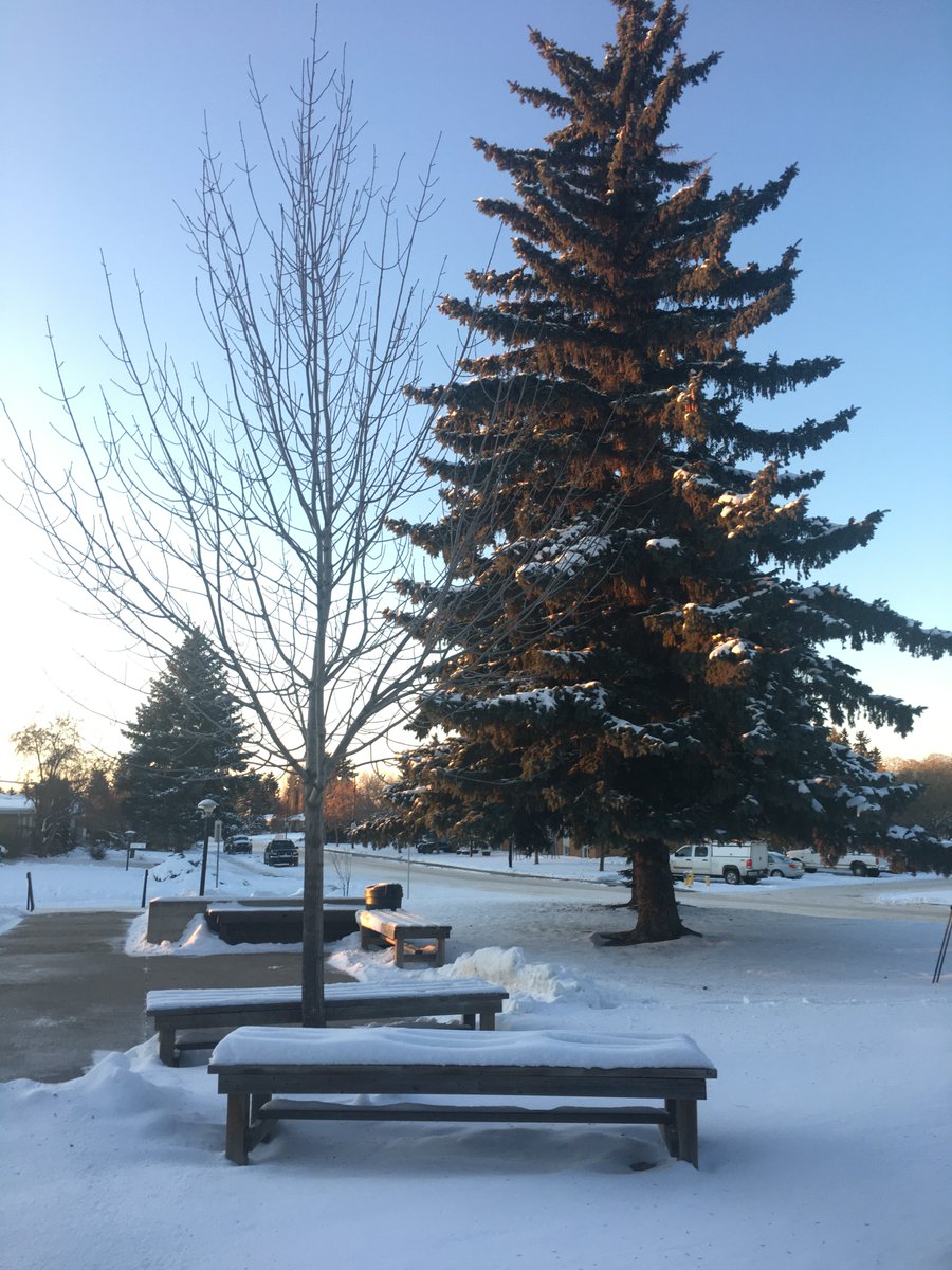 SjechurchE's tweet photo. #yeganglican #AlbertaSunset Beautiful sunset outside SJE...don't forget Coffee Morning is tomorrow at 10am (the benches will be free of snow by then!!) https://t.co/xUeDIKtAa3