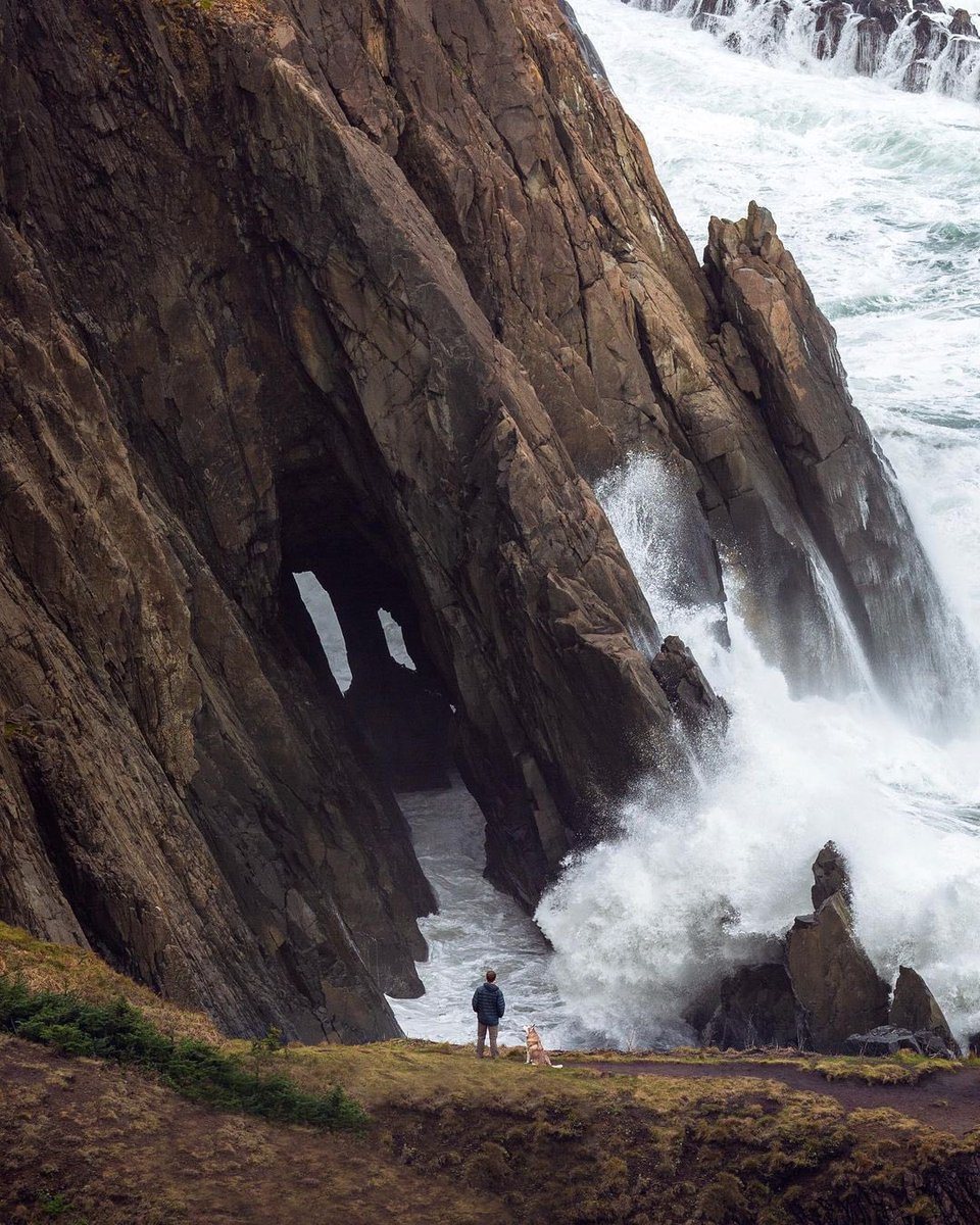 The Oregon Coast ✨