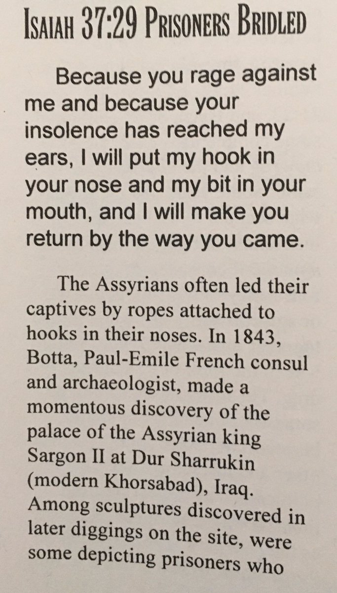 Further, as for males, we see in Isaiah 37:29 that both nose rings and lip rings were a form of punishment bestowed upon them by pagan cultures, to be used to connect a leash of sorts to when prisoners were being moved