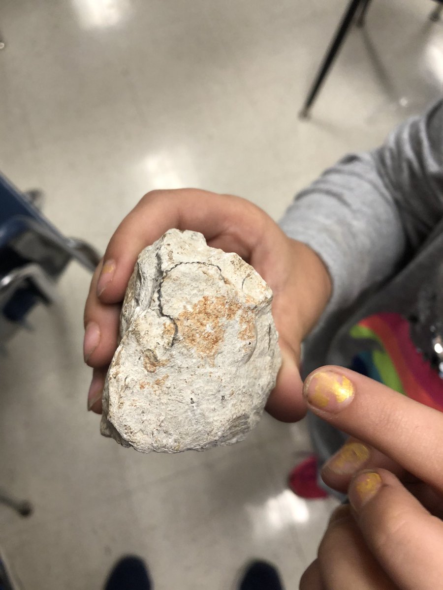 In science today we became geologists to study the special characteristics of many different rocks and minerals. <a href="/ElemRob/">Robinson Elementary</a> <a href="/robinsonisd/">Robinson ISD</a>
