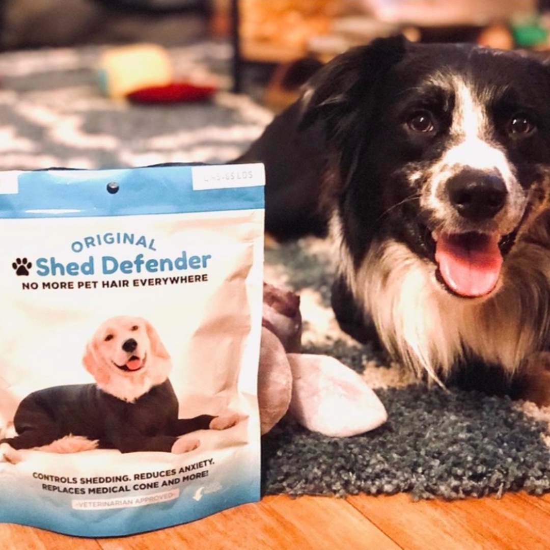 Shed Defender tweet media