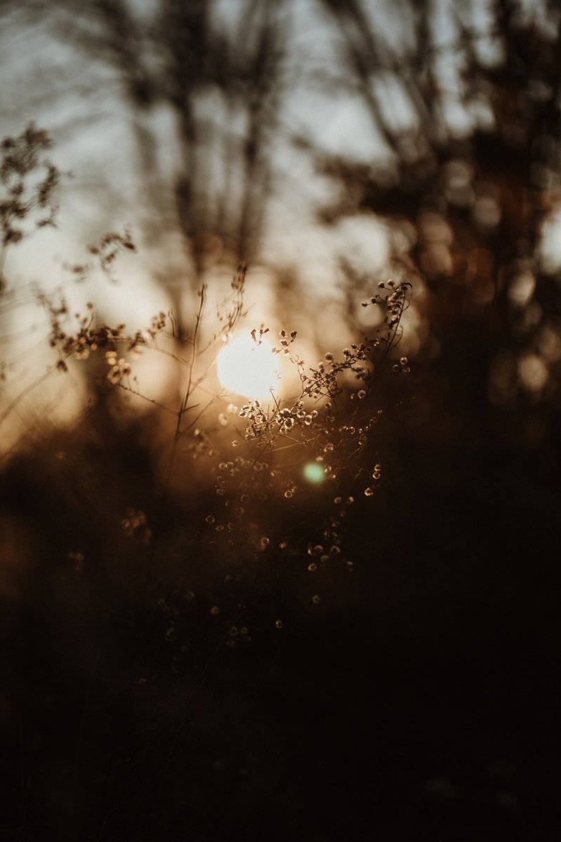 jadedvader's tweet photo. Photo post #1 — 

“Irl” photos from 11/01 
(📷/@tribewildlight) 

☀️ https://t.co/cG6SxK3mM6