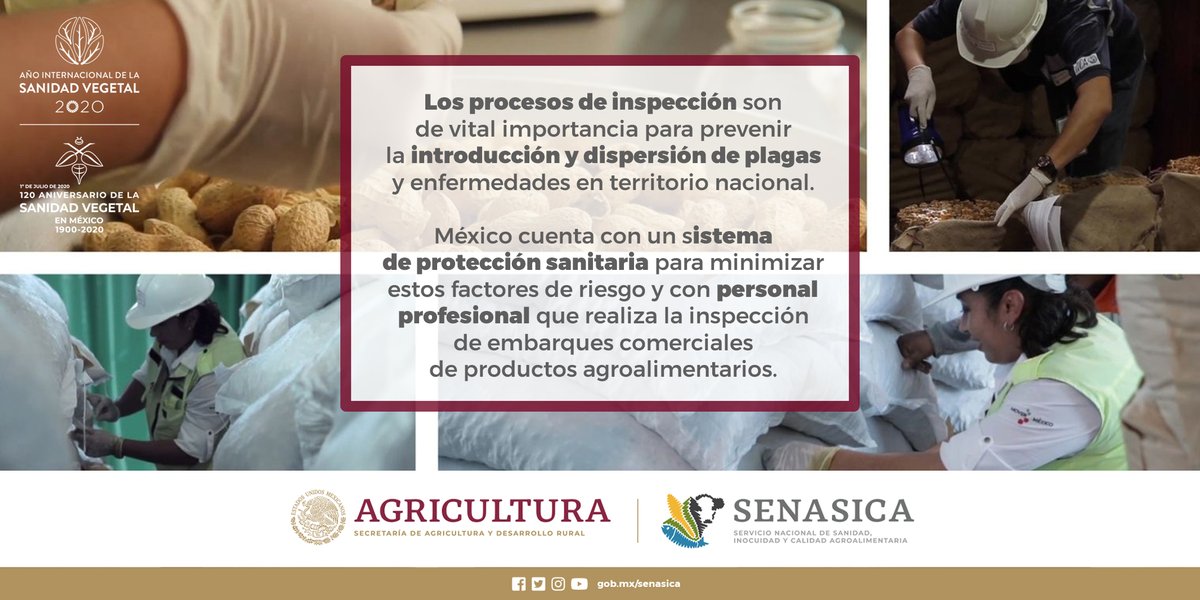 SENASICA's tweet image. La #inspección es una tarea que desempeñamos las 24 horas del día, los 365 días del año ⌚🗓