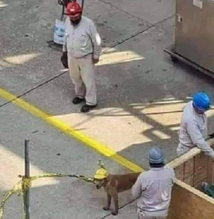 Todo esforço é recompensado.